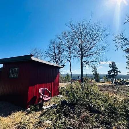 Feriehus Nydelig Naturperle På Nesbyen, Nær Langedrag